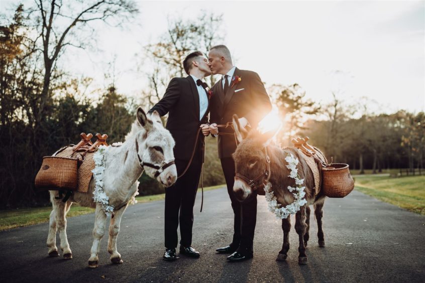 Incorporating animals into your wedding day 1