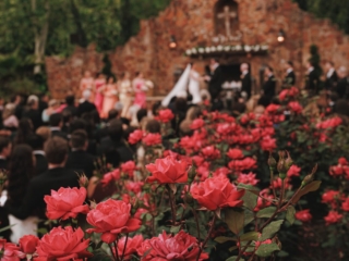 (Photo courtesy of Ama by Aisha)