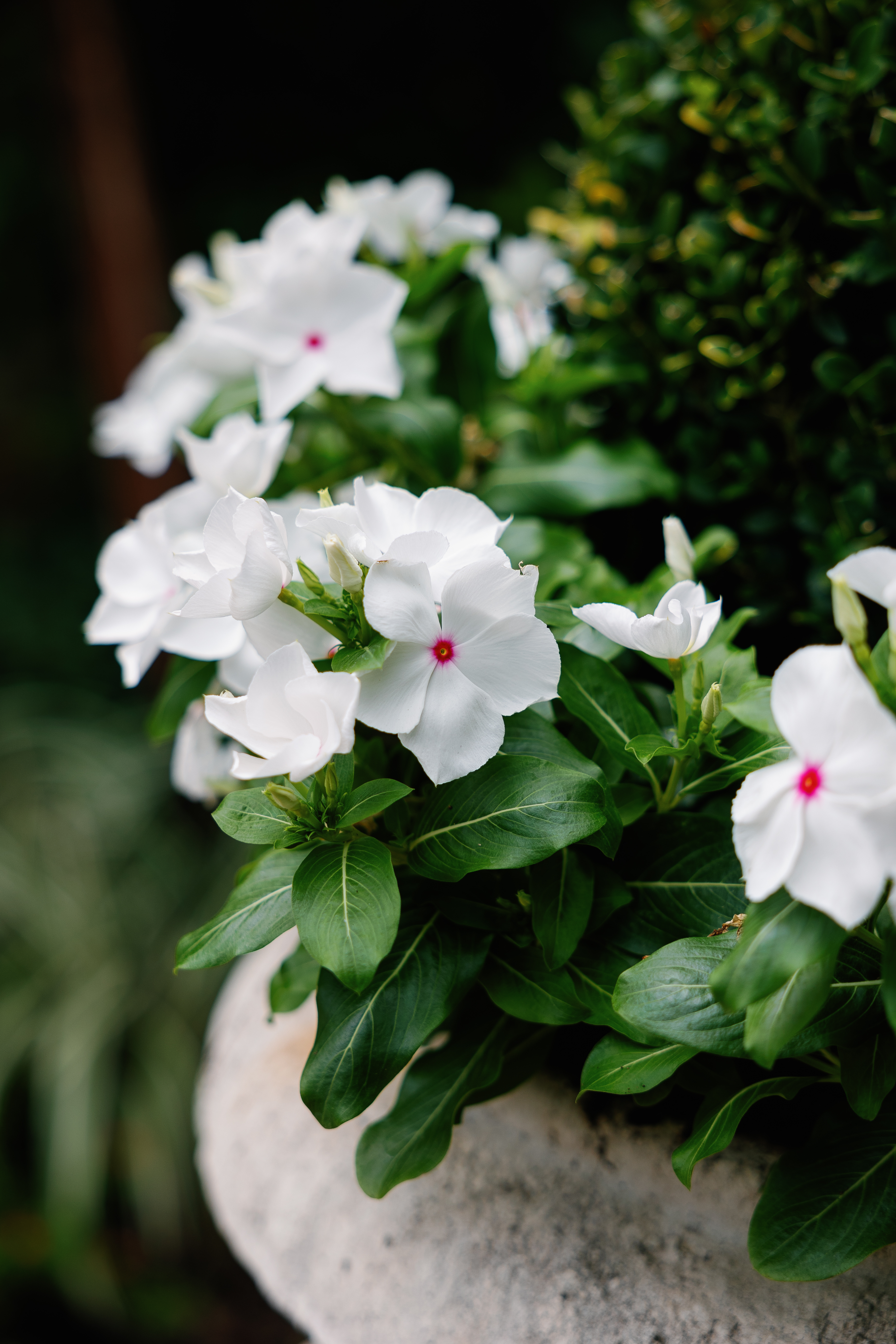 (Photo courtesy of Moments of Grace Photography) (Photo courtesy of Moments of Grace Photography)